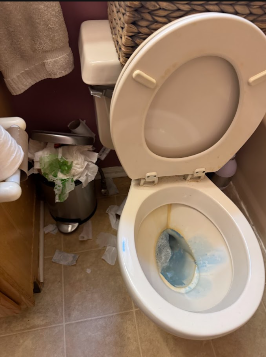 Bathroom before cleaning — toilet